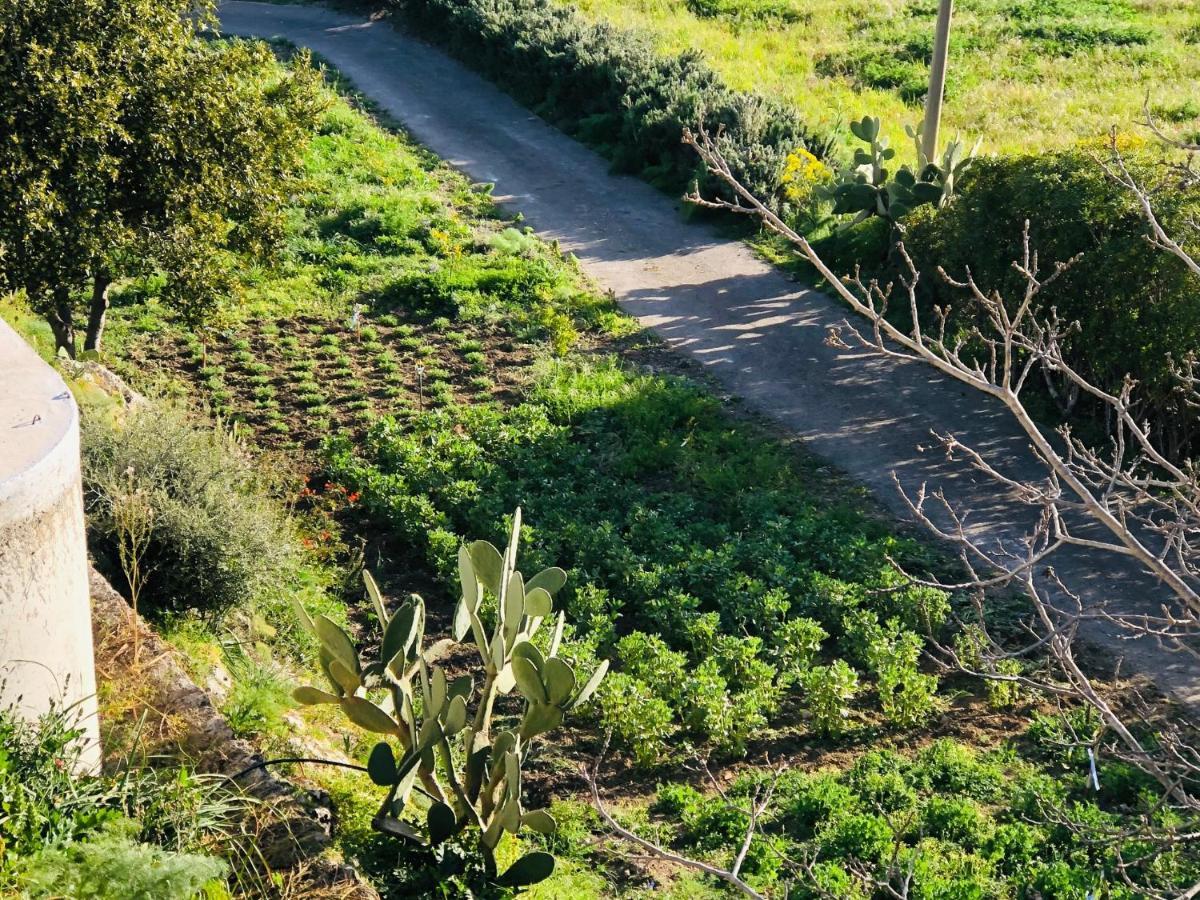 B&B Tenuta La Puntara Caltanissetta Extérieur photo