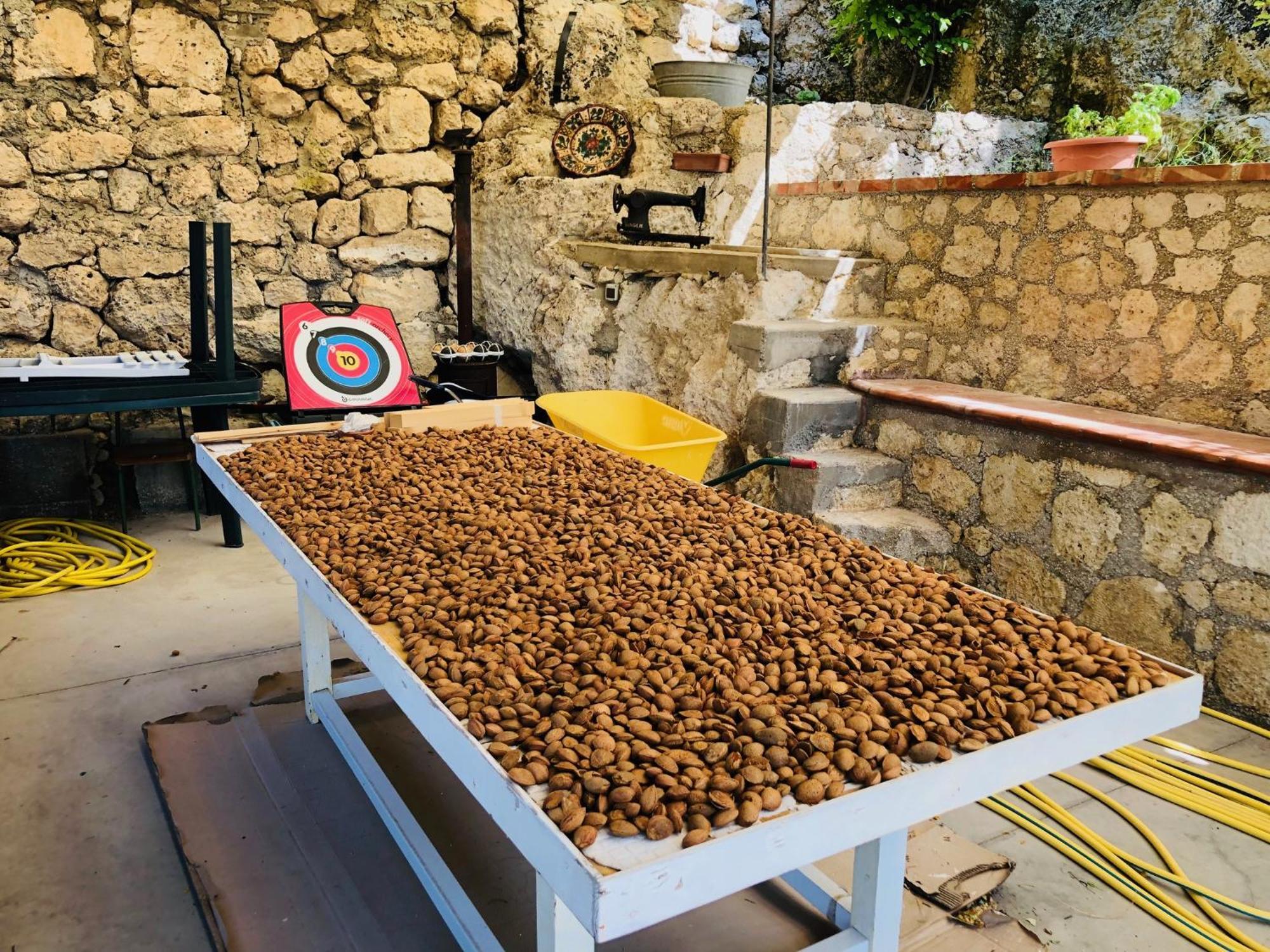 B&B Tenuta La Puntara Caltanissetta Extérieur photo